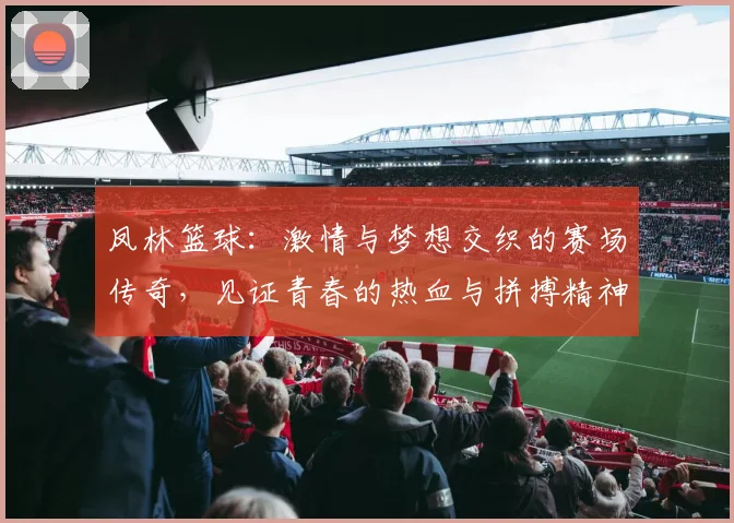 凤林篮球：激情与梦想交织的赛场传奇，见证青春的热血与拼搏精神