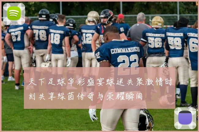 天下足球华彩盛宴球迷共聚激情时刻共享绿茵传奇与荣耀瞬间